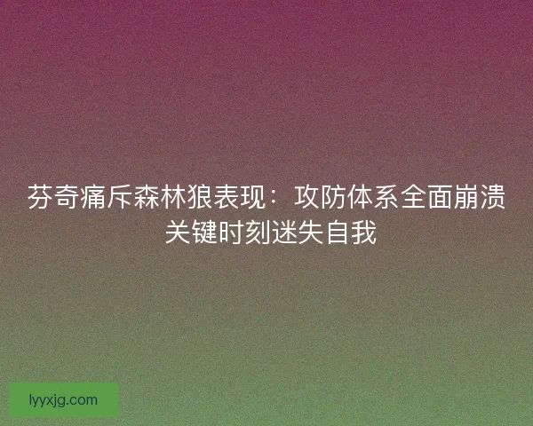 芬奇痛斥森林狼表现：攻防体系全面崩溃 关键时刻迷失自我